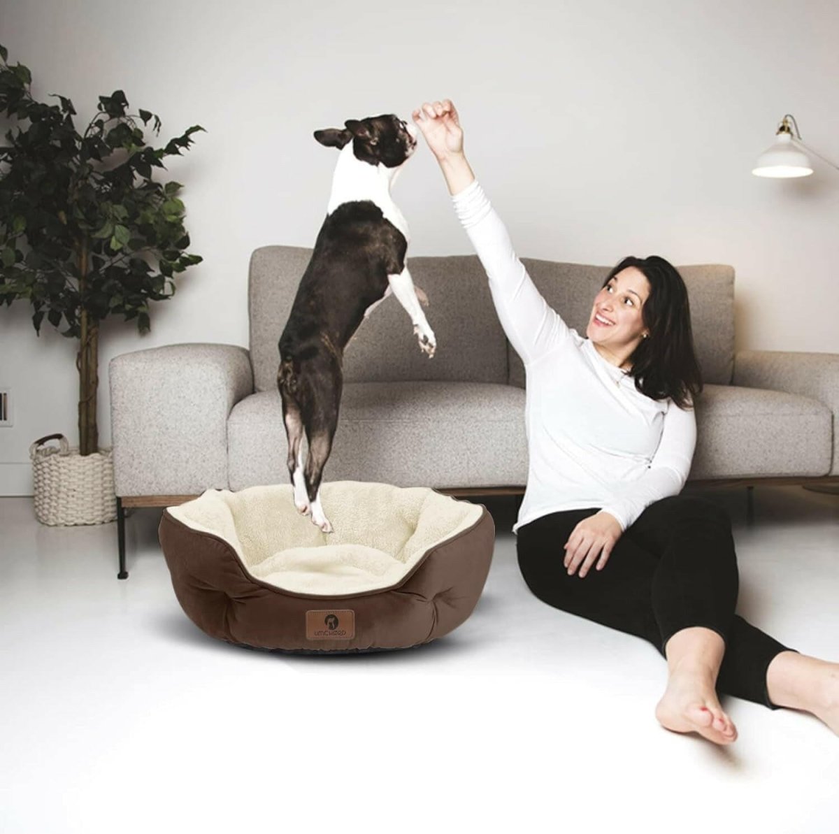 20-Inch Pet Bed: Perfect for Puppies