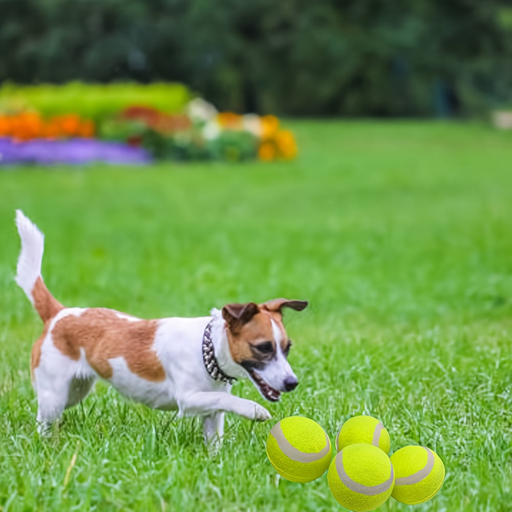 4 Pack Durable Rubber Tennis Balls for Dogs 2.4 Inch High Bounce Fetch Balls for Training Exercise and Daily Play