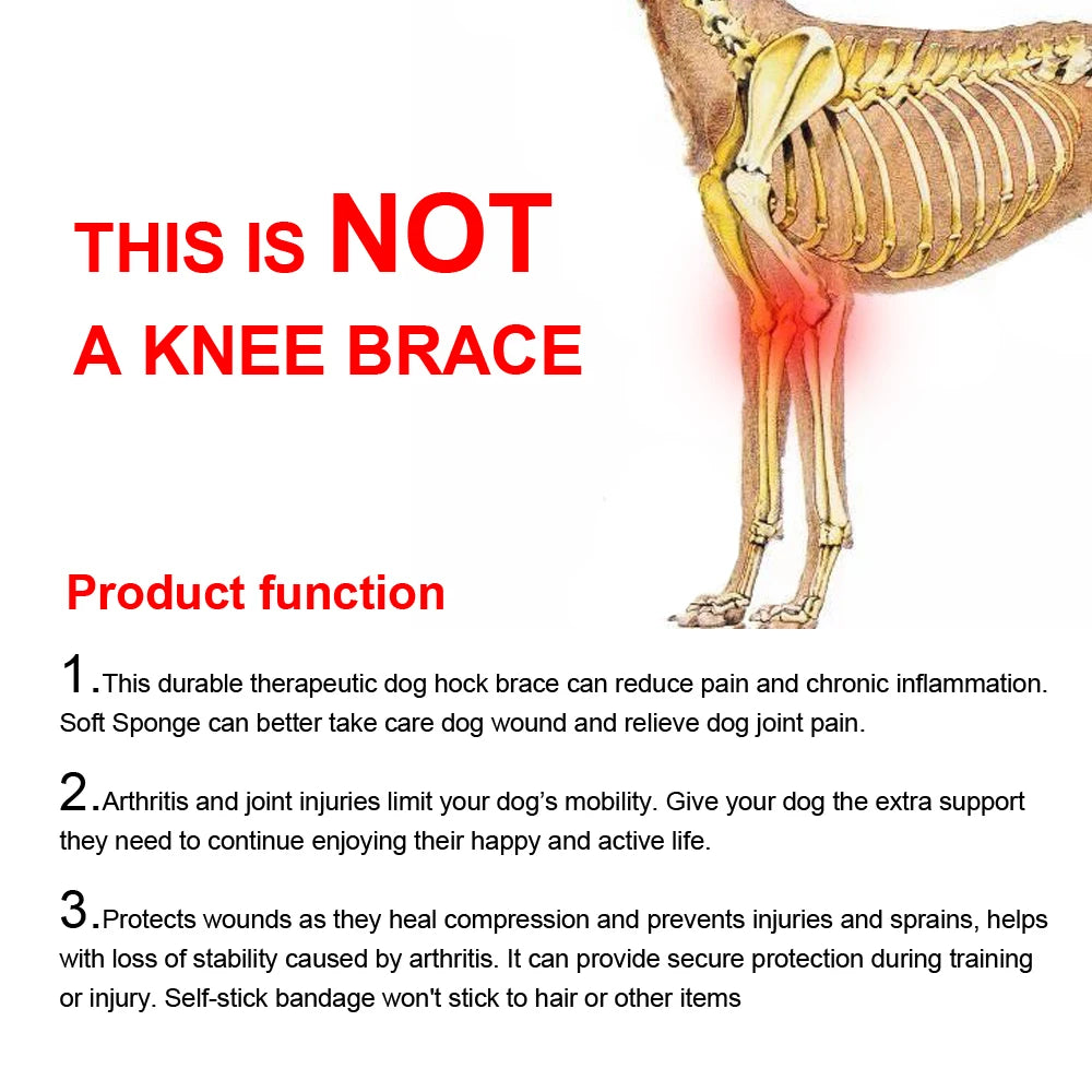 Dog Leg Brace Support Sleeve Helps Protect Wounds and Aids Recovery for Dogs