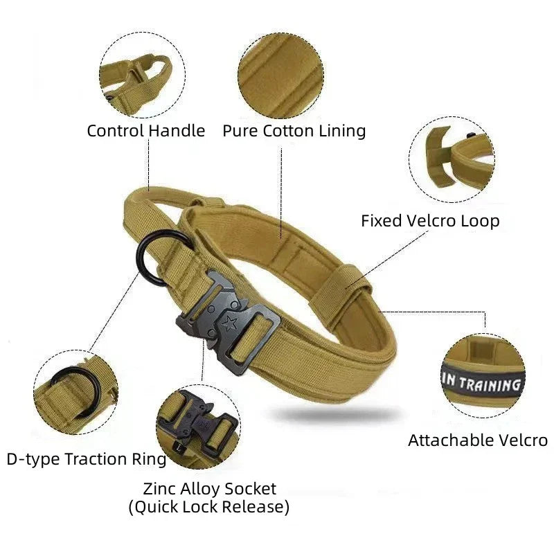 Tactical K9 Collar - Green