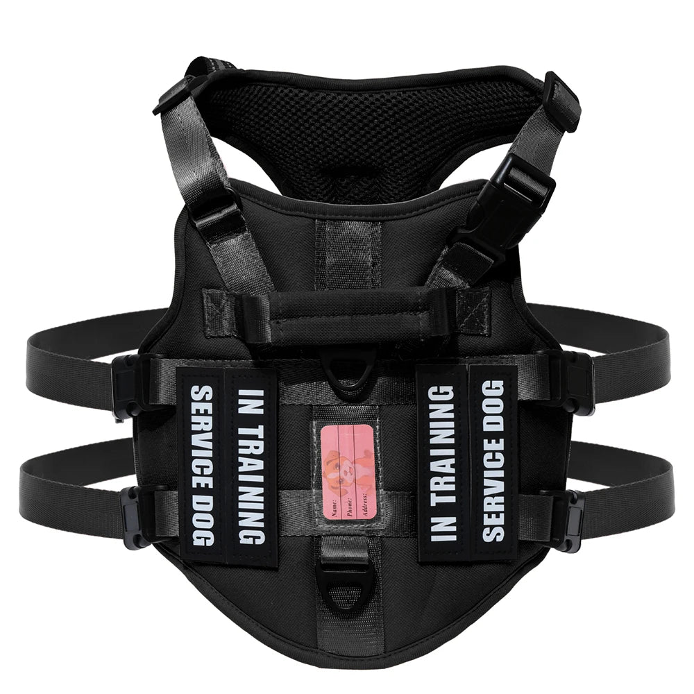 Handler Pro Harness