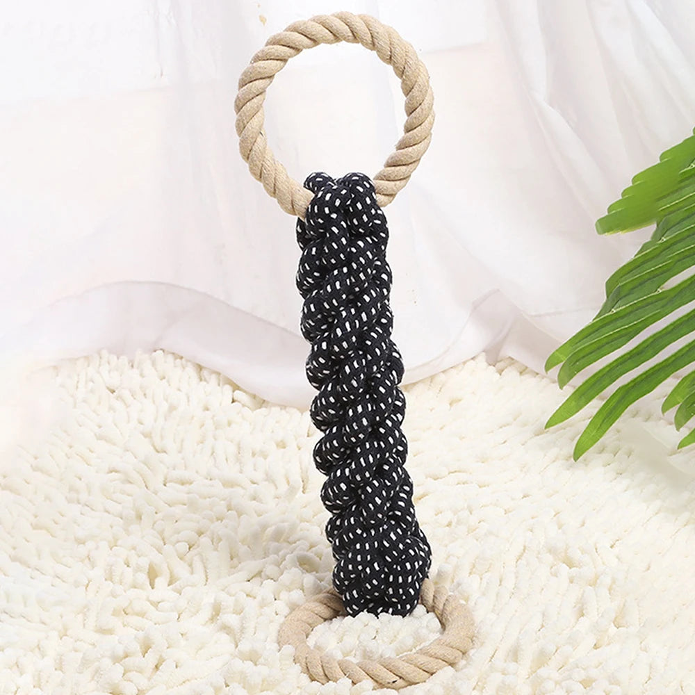 Dual-Loop Chew Trainer