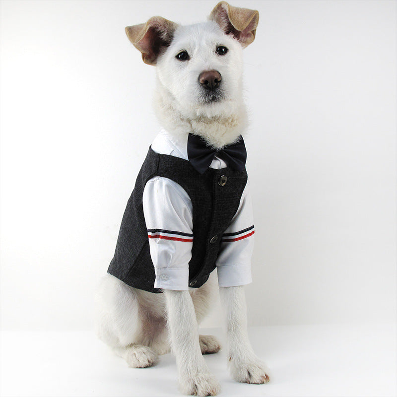 the dapper man dog suit