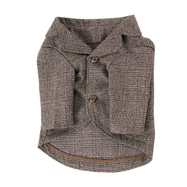 the dapper man dog suit
