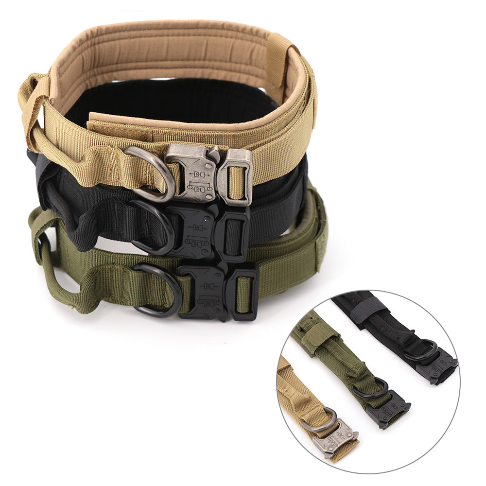 Breakaway Dog Collar