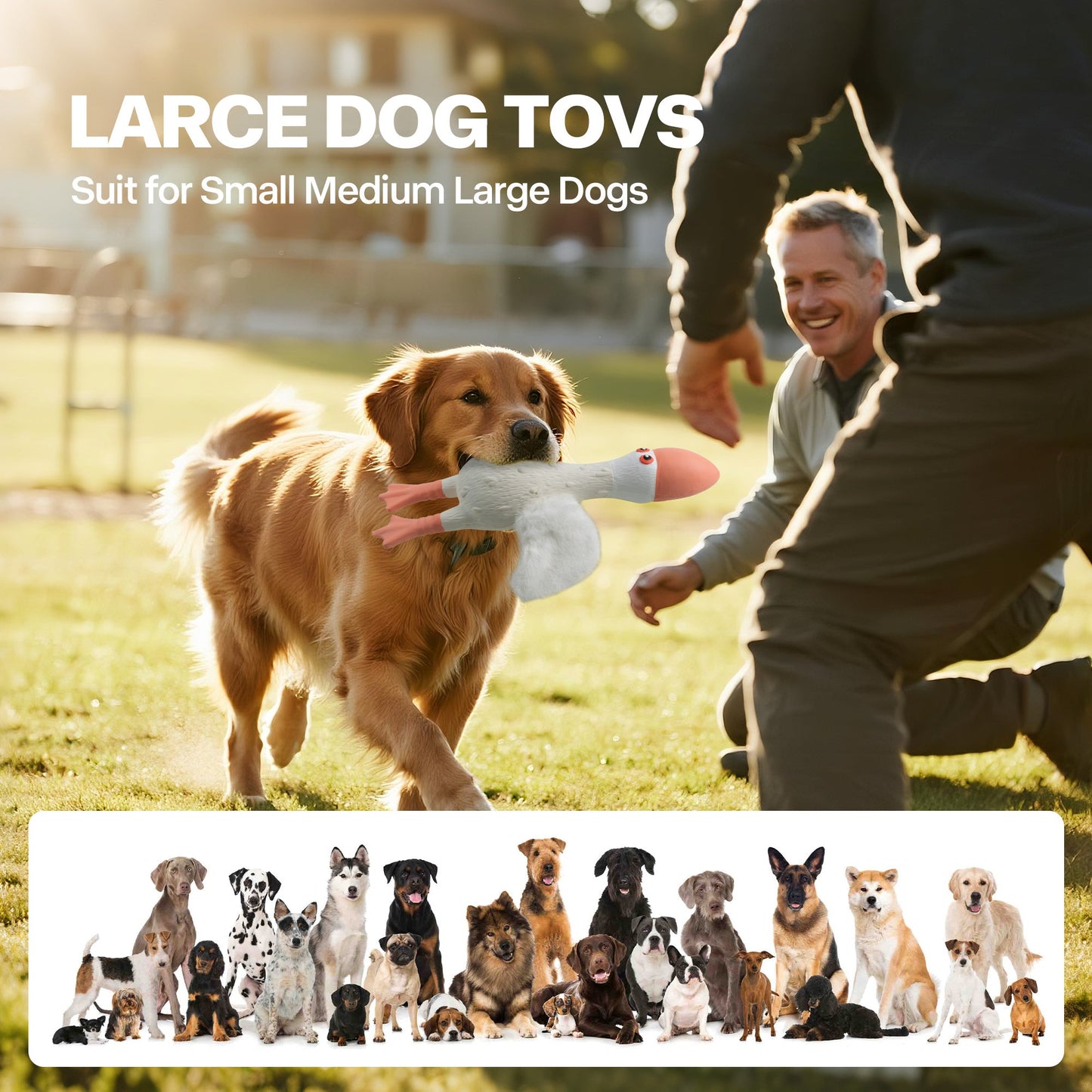 ZooTex - Squeaky Latex Dog Toys - Soft Wing Seagull