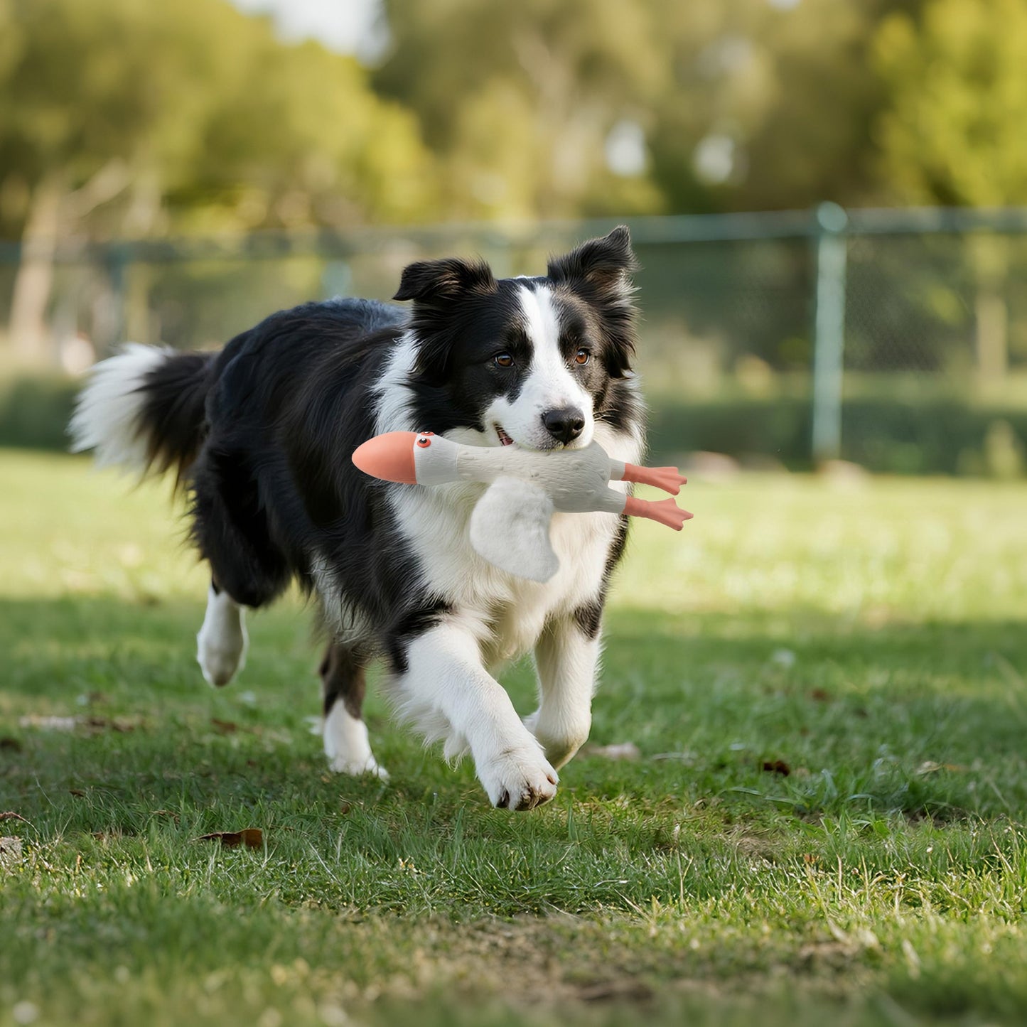 ZooTex - Squeaky Latex Dog Toys - Soft Wing Seagull