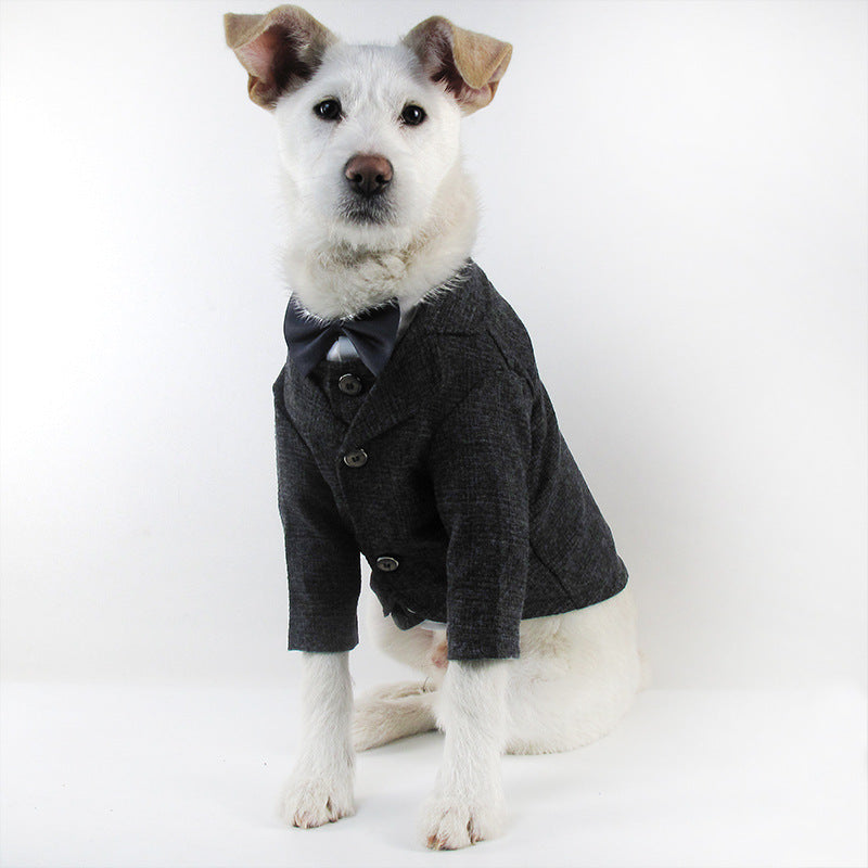 the dapper man dog suit