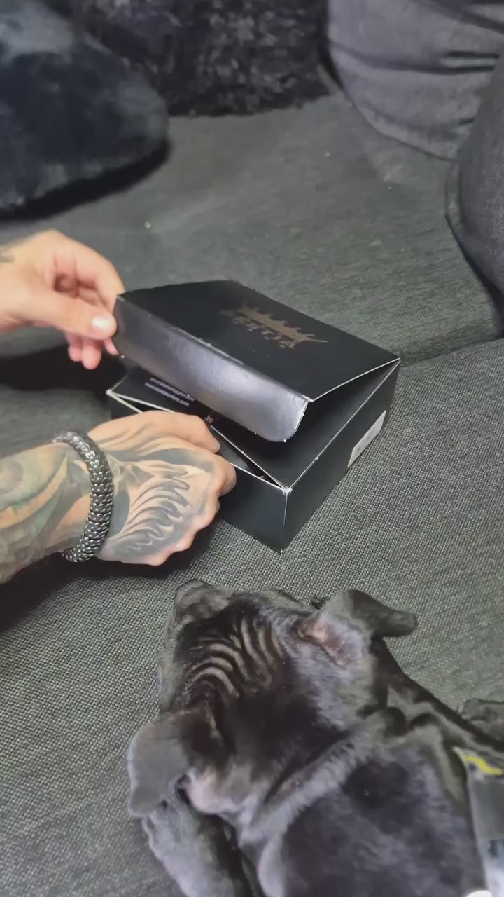 The ''Morelia Python'' harness Medium Size