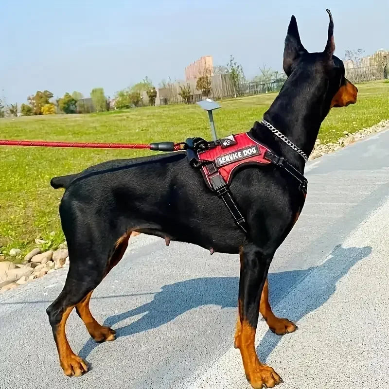 Borksy Reflective Service Dog Harness Set – Adjustable Comfort Vest with Leash