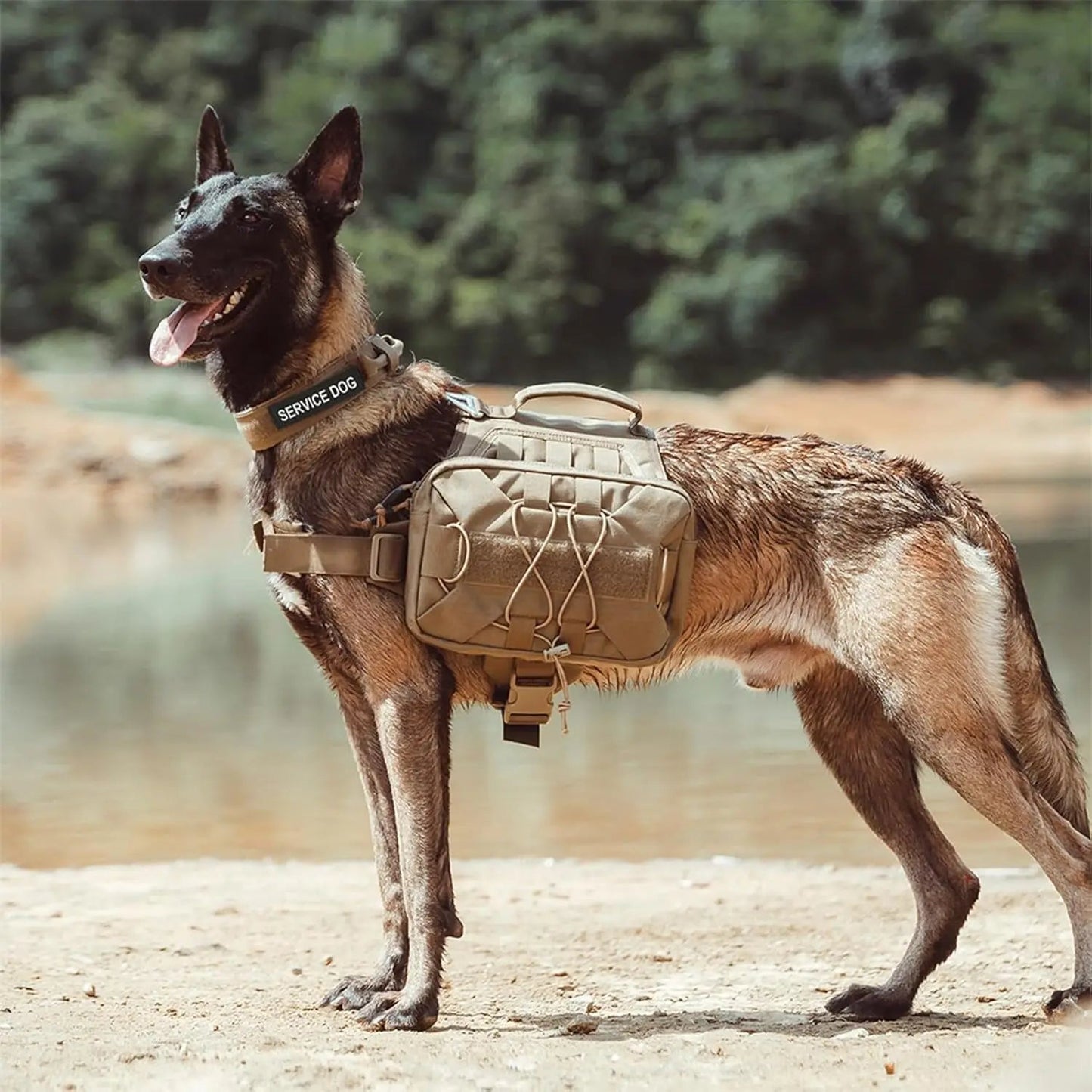 Tactical Dog Backpack