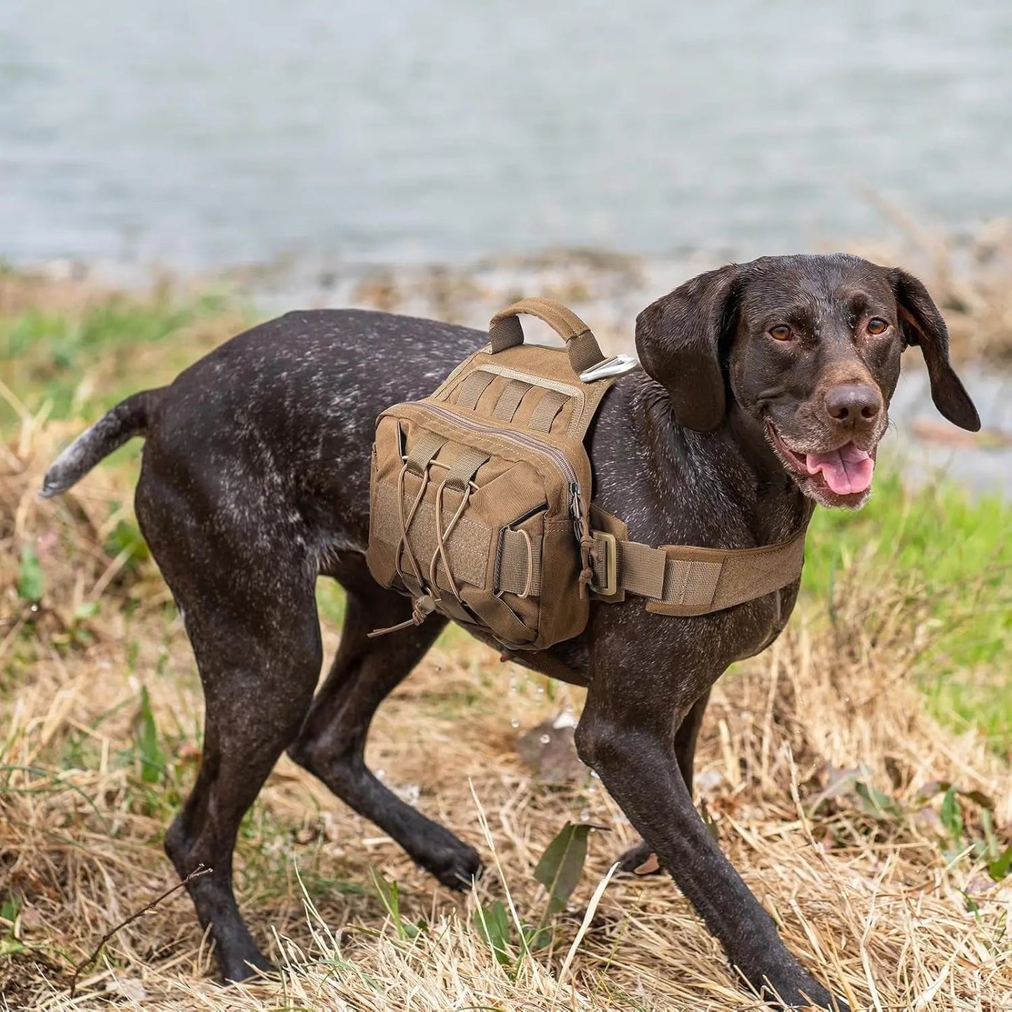 Tactical Dog Backpack