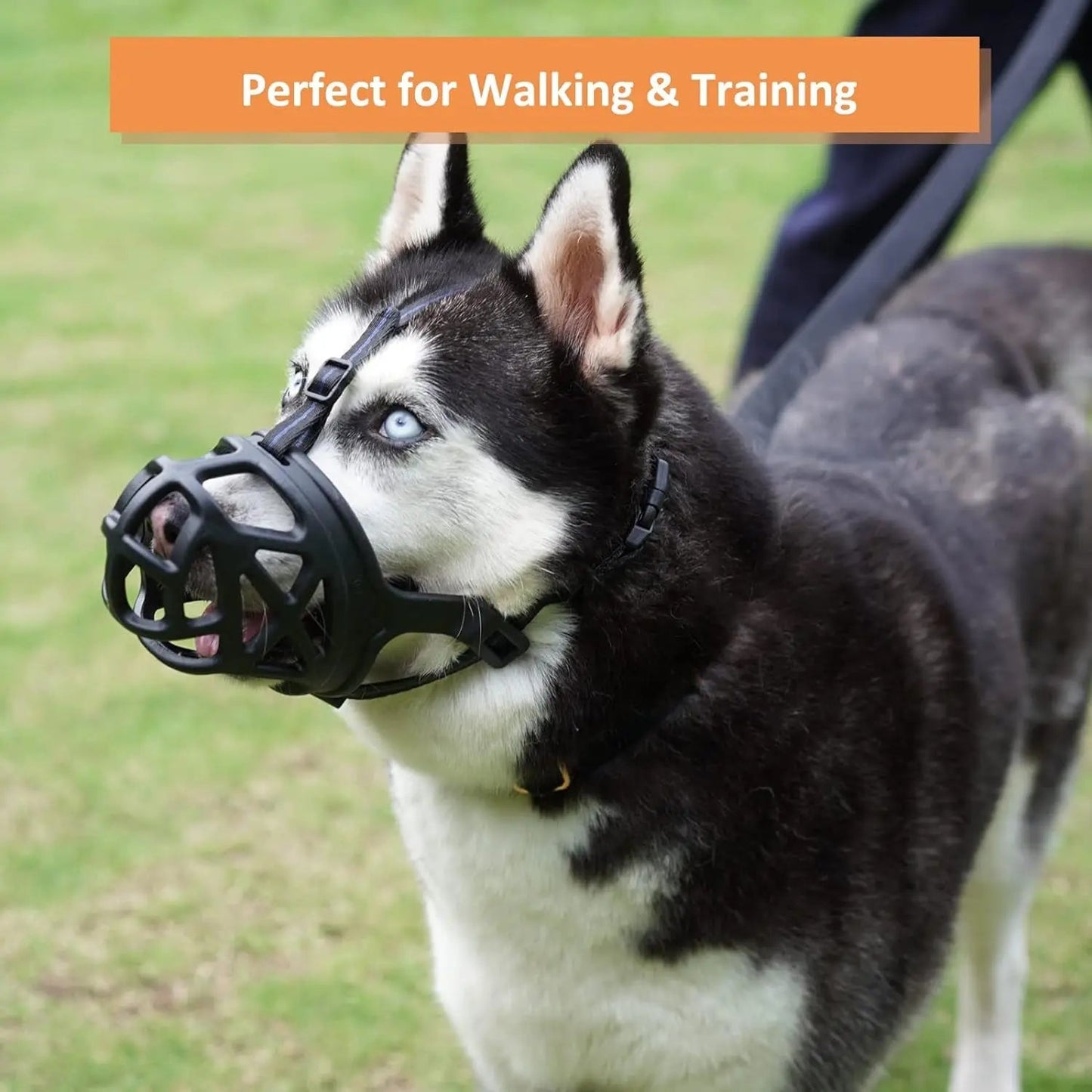 Adjustable Anti-Bite Training Muzzle