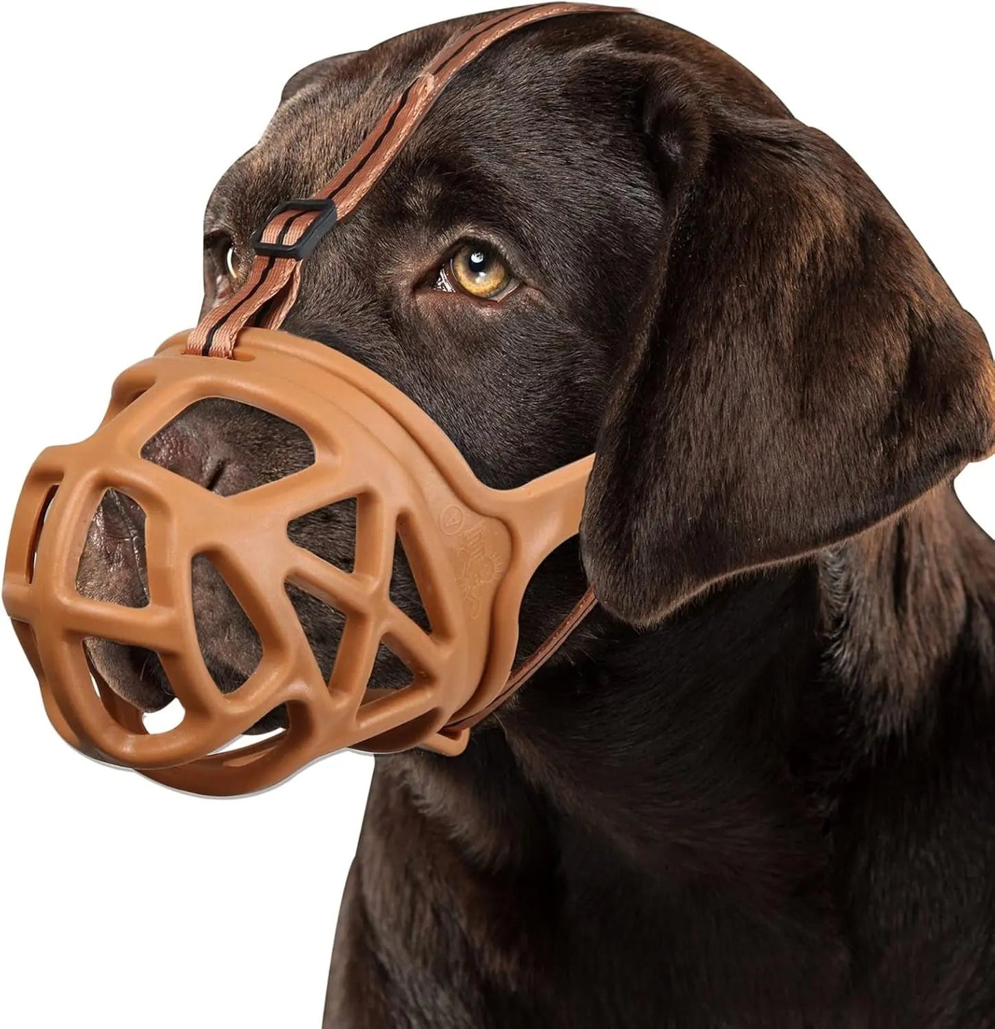 Adjustable Anti-Bite Training Muzzle