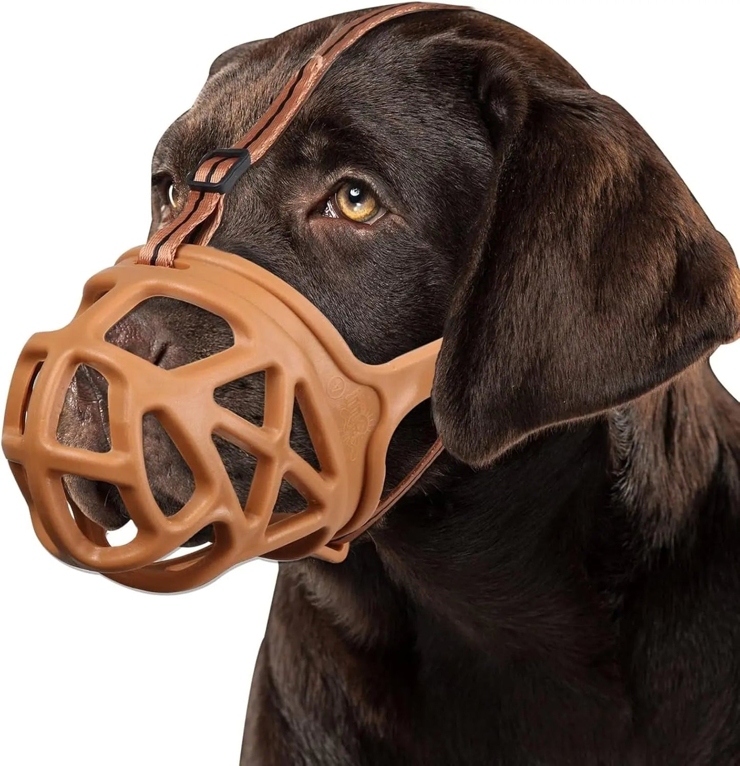 Adjustable Anti-Bite Training Muzzle