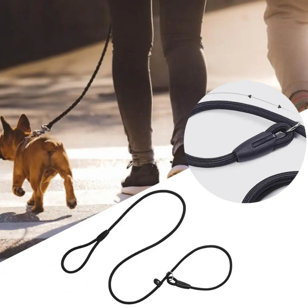 Pretty Walking Dog Leash Strong Toughness Anti Crack Traction Rope for Daily Walks and Training