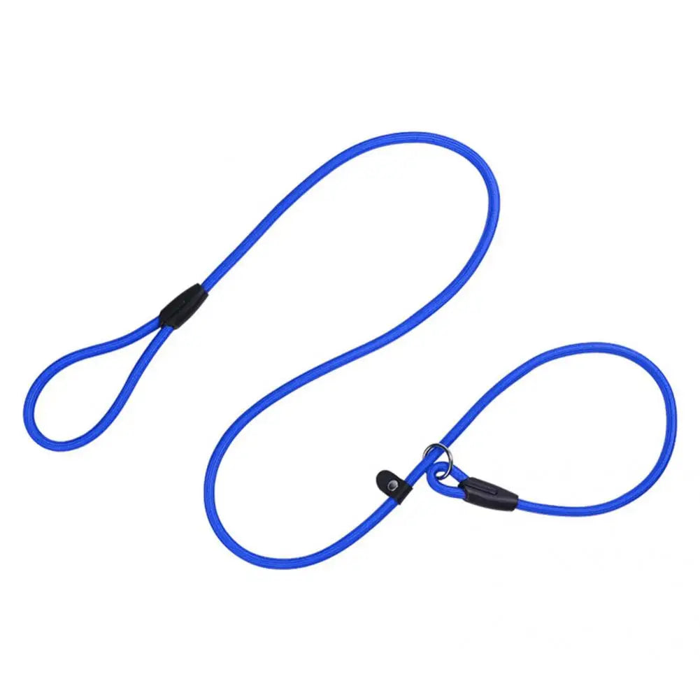 Pretty Walking Dog Leash Strong Toughness Anti Crack Traction Rope for Daily Walks and Training