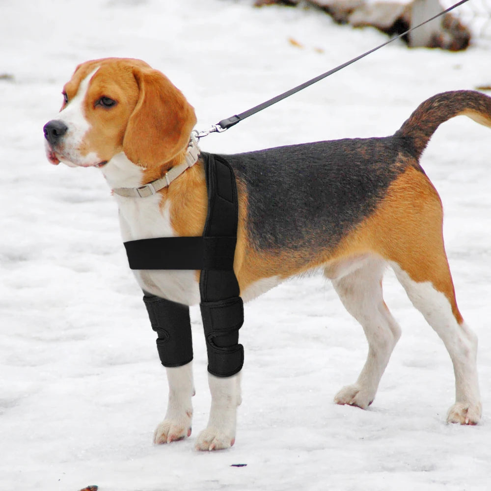 Dog Leg Brace Support Sleeve Helps Protect Wounds and Aids Recovery for Dogs