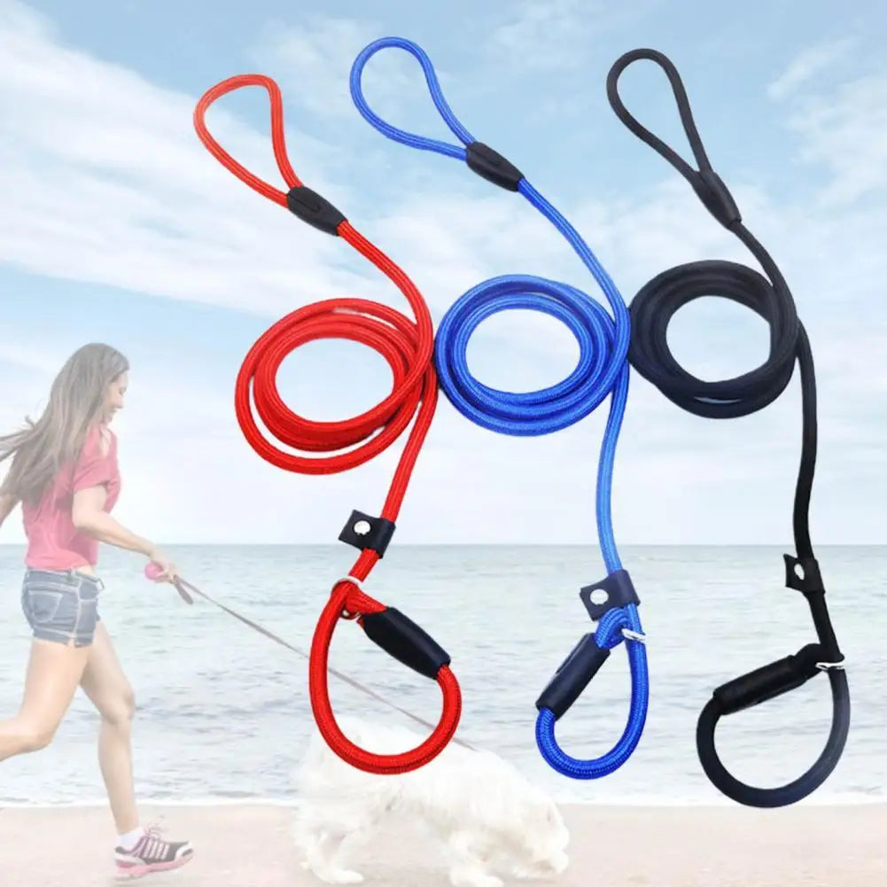 Pretty Walking Dog Leash Strong Toughness Anti Crack Traction Rope for Daily Walks and Training