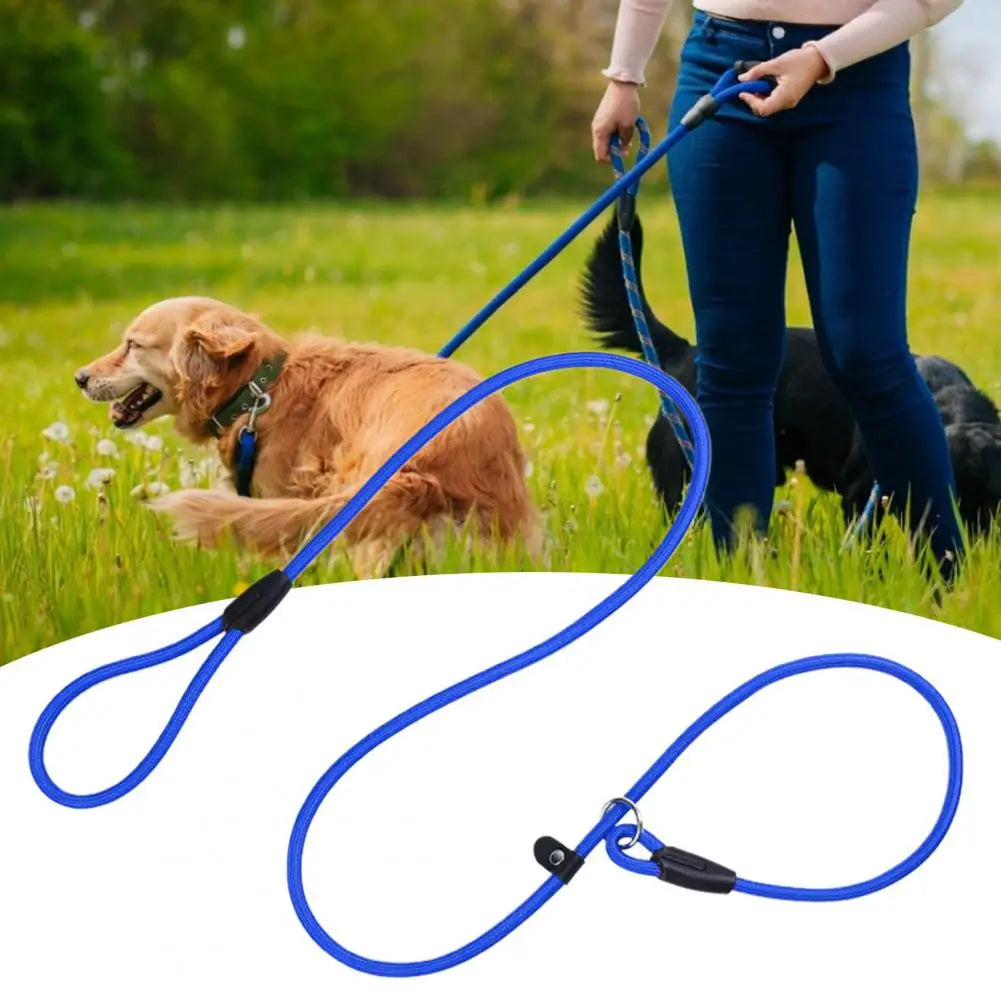 Pretty Walking Dog Leash Strong Toughness Anti Crack Traction Rope for Daily Walks and Training