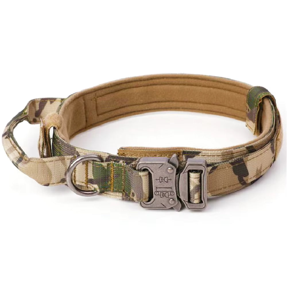 Breakaway Dog Collar