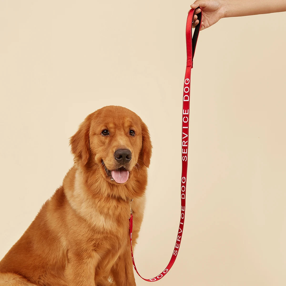 Service Dog Leash – 4ft Reflective Lead with Neoprene Comfort Handle, Embroidered Service Animal Lettering
