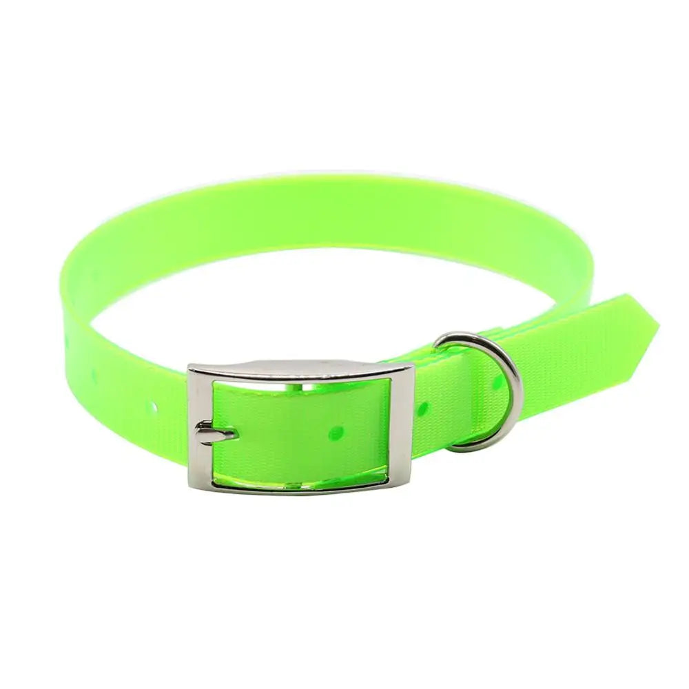 AquaGuard Waterproof Dog Collar