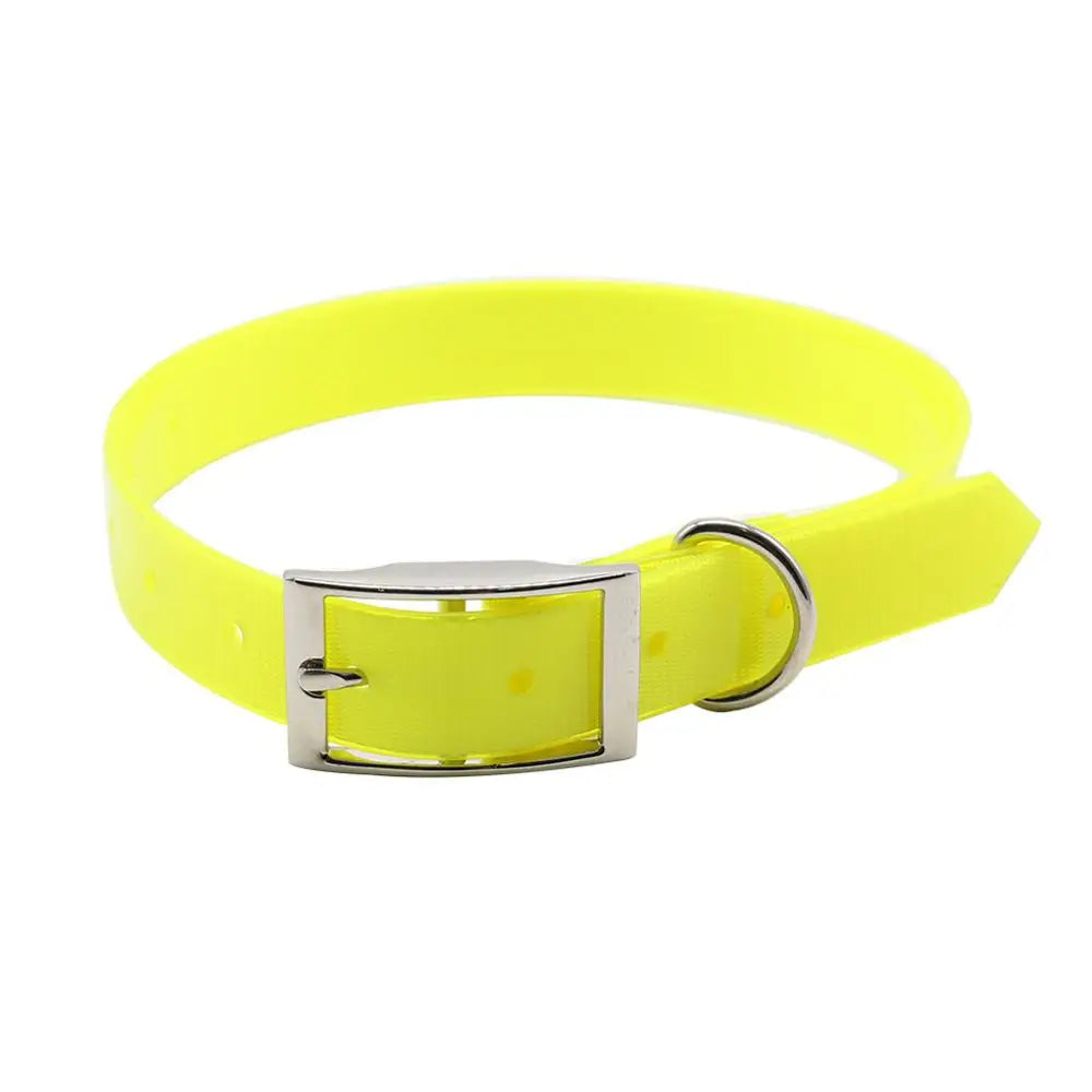 AquaGuard Waterproof Dog Collar