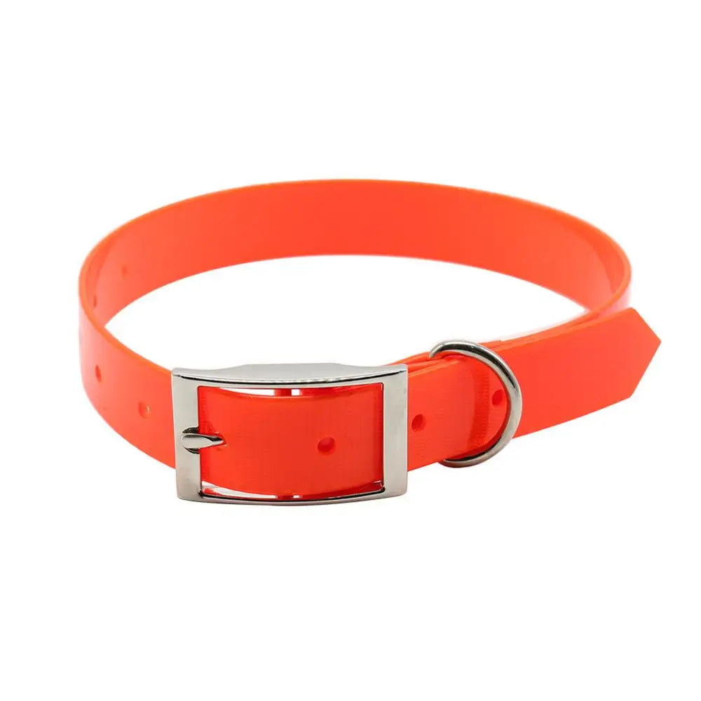 AquaGuard Waterproof Dog Collar