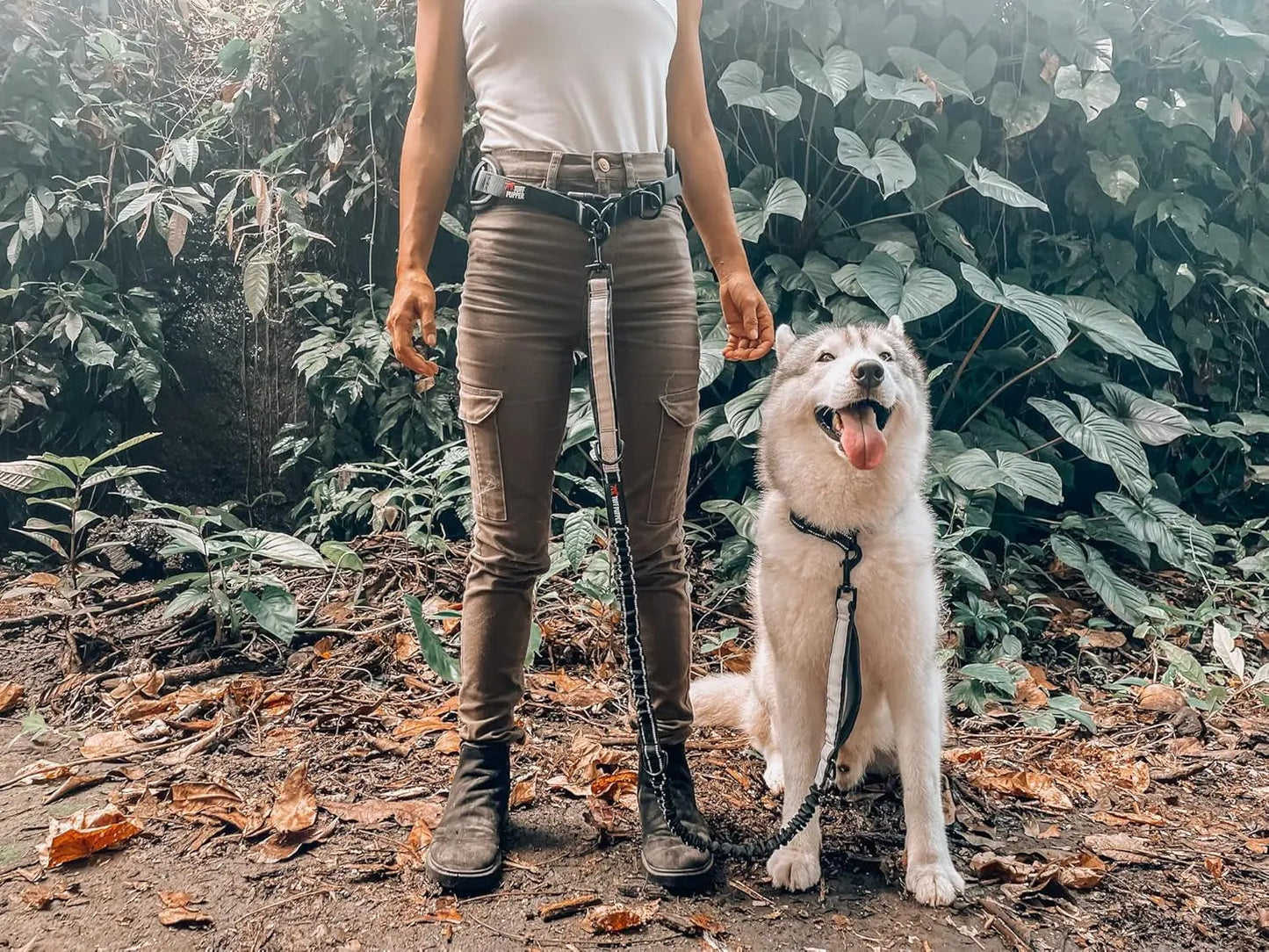 Hands Free Dog Leash Heavy Duty Bungee Waist Belt