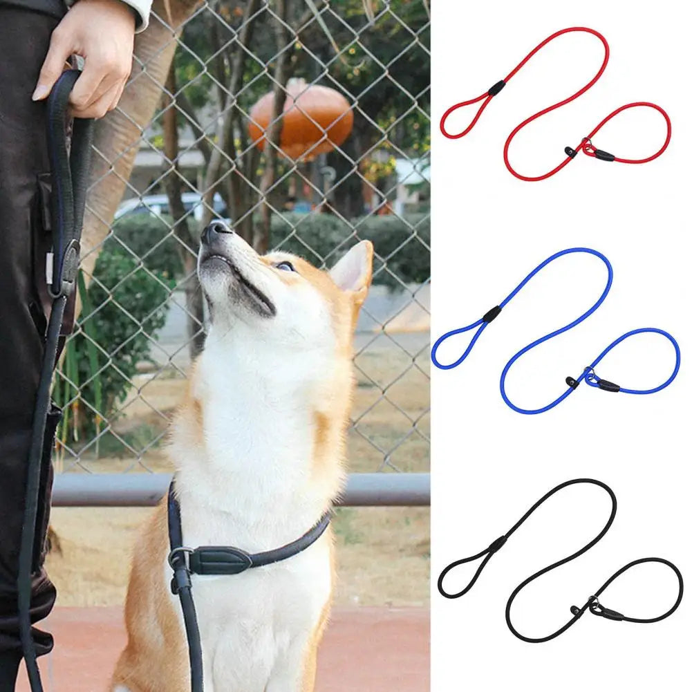 Pretty Walking Dog Leash Strong Toughness Anti Crack Traction Rope for Daily Walks and Training