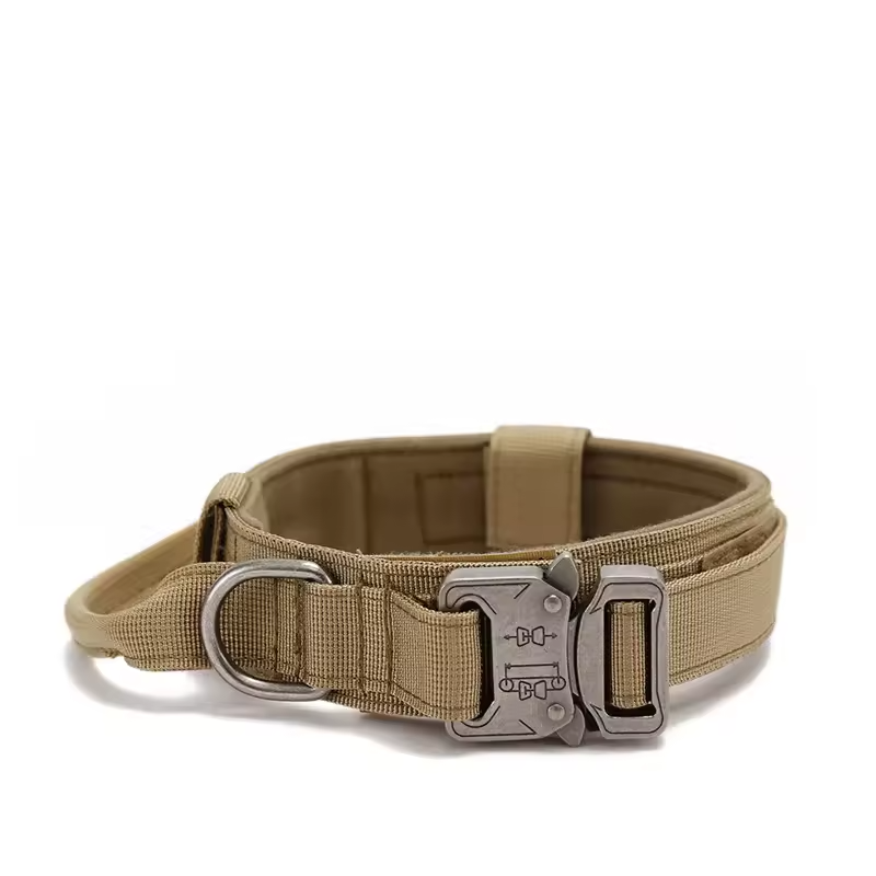 Breakaway Dog Collar
