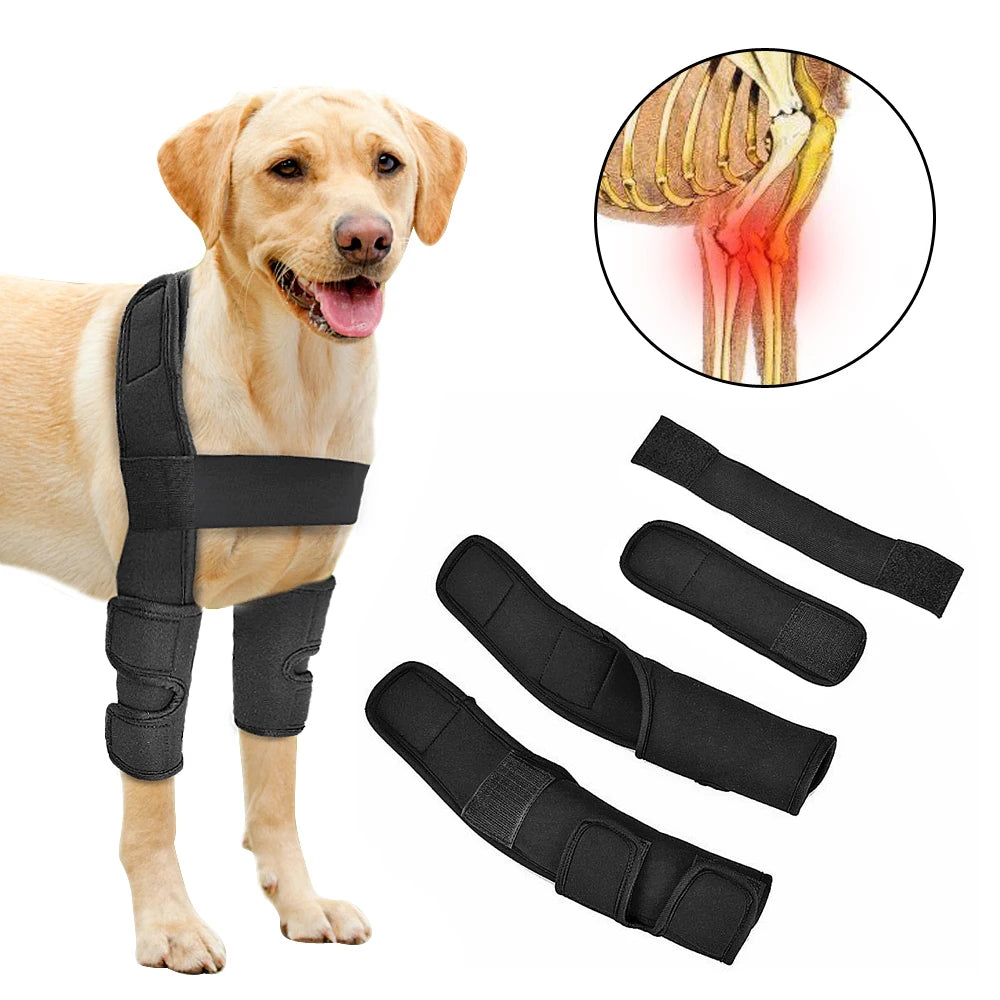 Dog Leg Brace Support Sleeve Helps Protect Wounds and Aids Recovery for Dogs