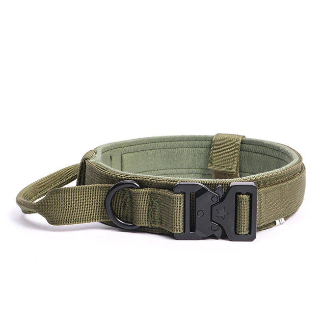 Tactical K9 Collar - Green