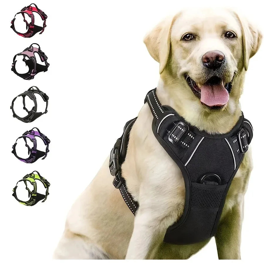 Borksy Atlas Harness