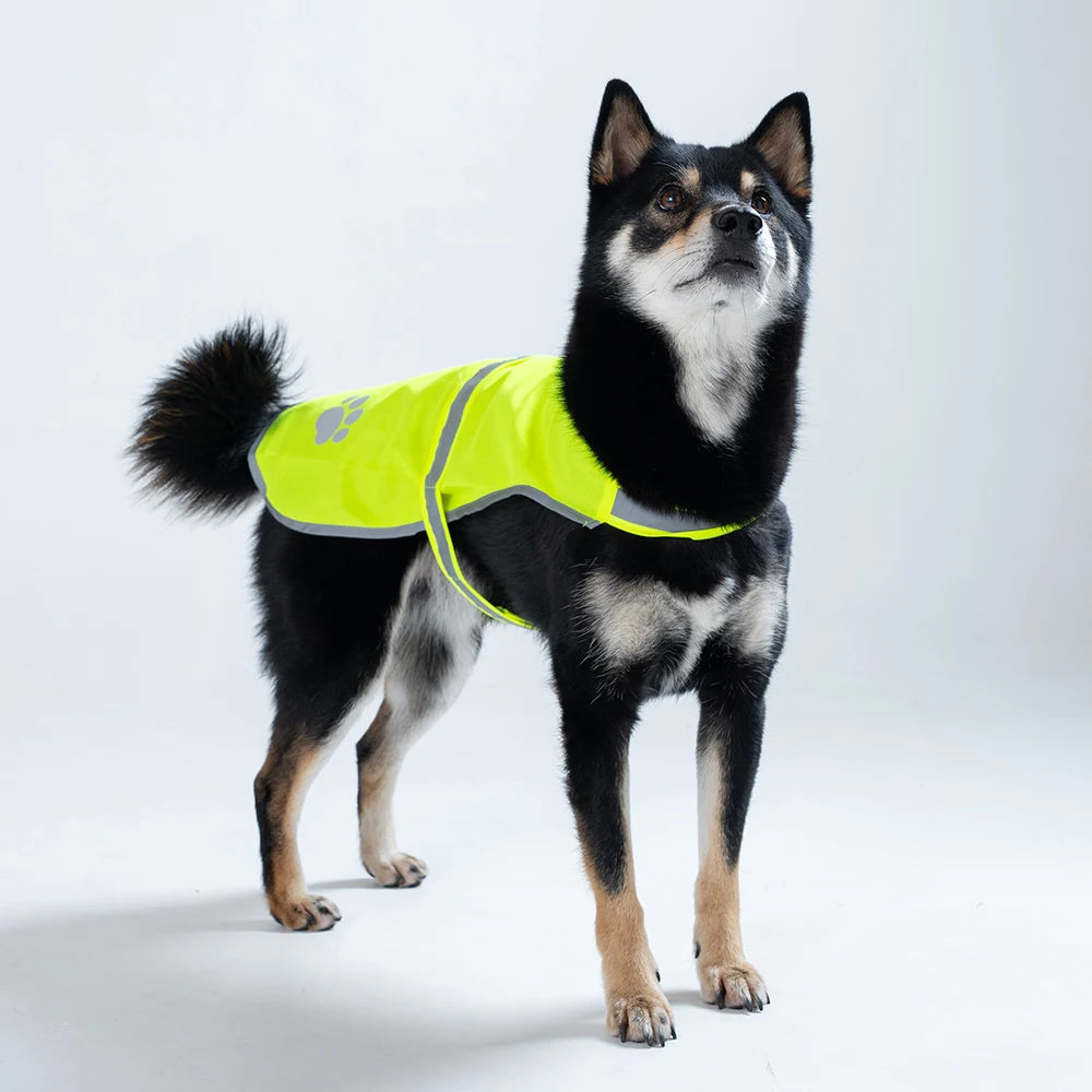 SafeStep Reflective Dog Vest