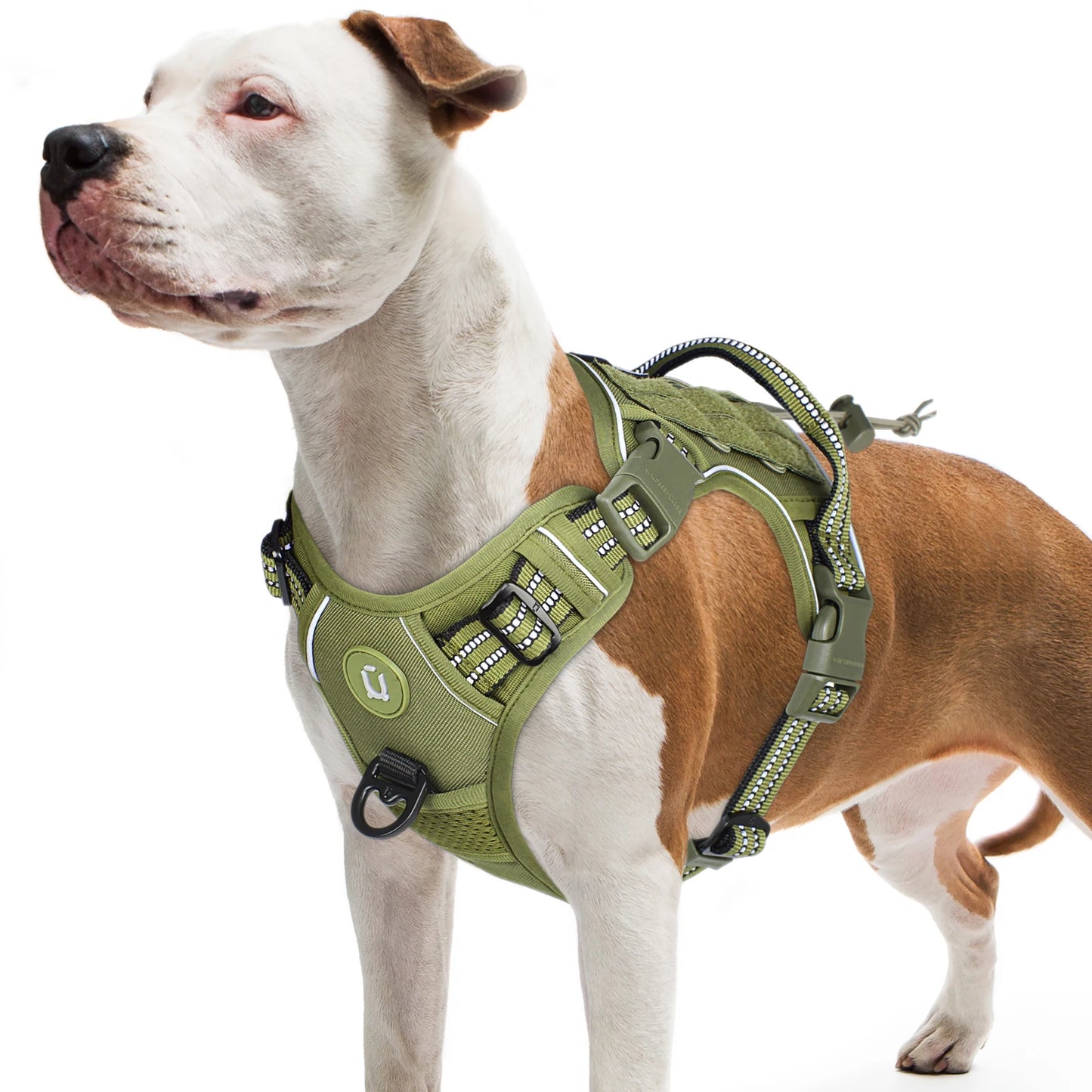 Borksy Commander Tactical Harness