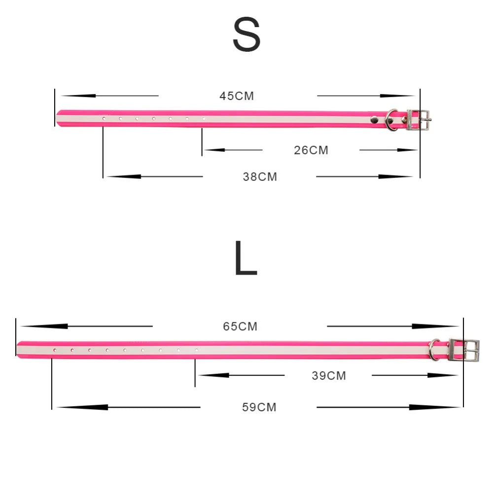AquaGuard Waterproof Dog Collar