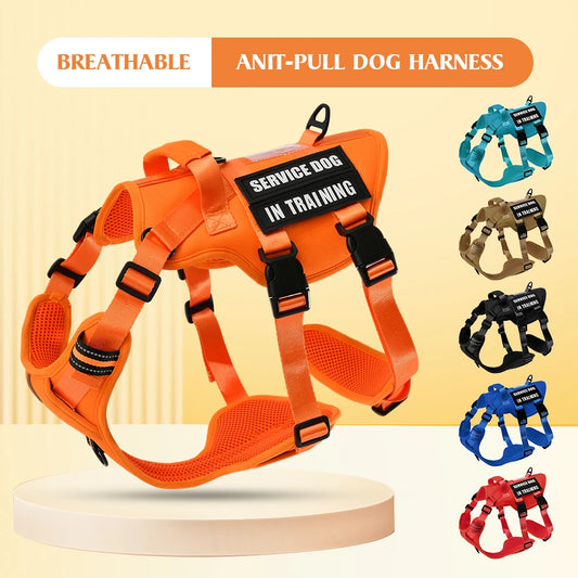 Handler Pro Harness