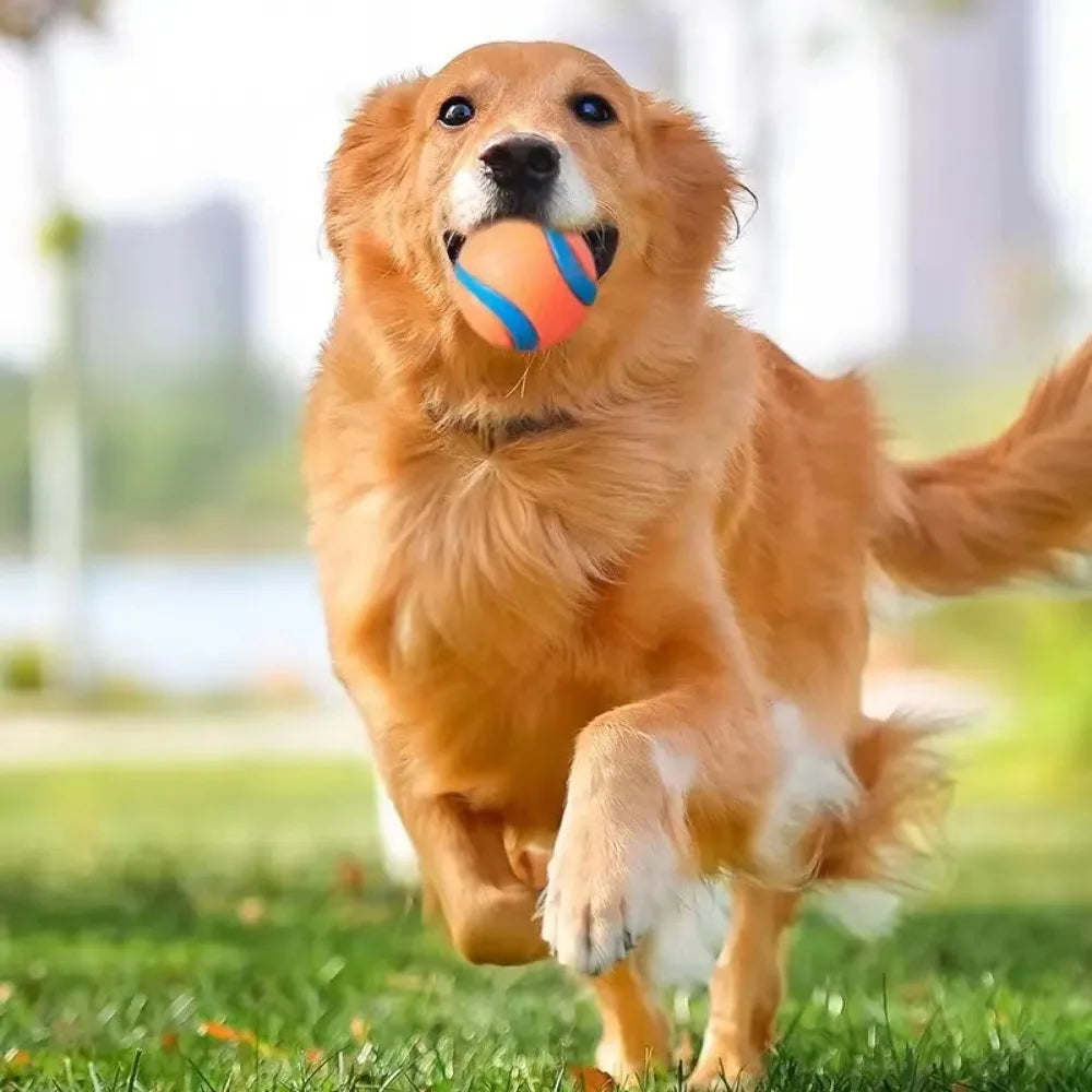 TurboBounce Fetch Ball