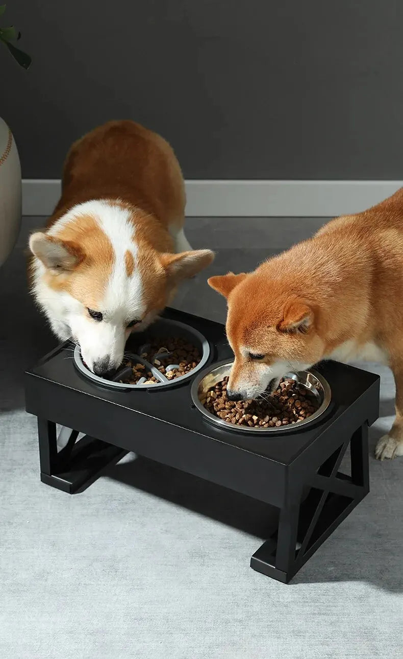 Borksy Adjustable Elevated Double Dog Bowl