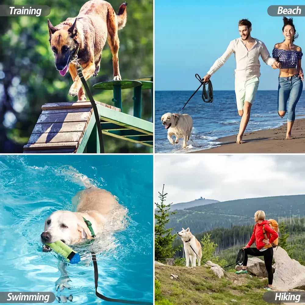 Nylon Reflective Dog Leash Long Training and Walking Lead for Small Medium and Large Dogs