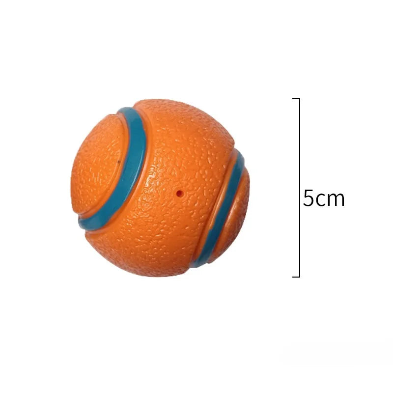 TurboBounce Fetch Ball