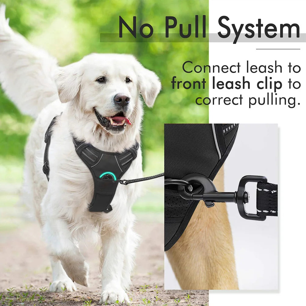 Borksy FreedomFit Harness