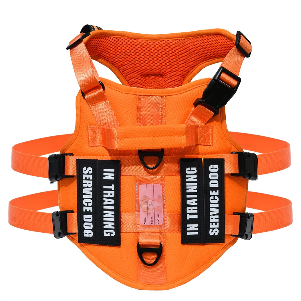 Handler Pro Harness
