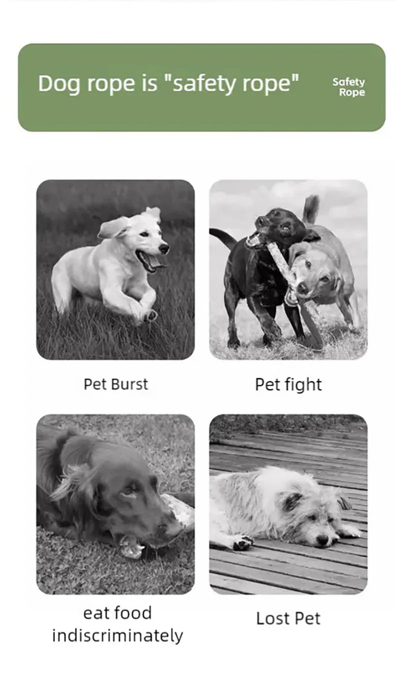 DopamineWalk Dog Leash