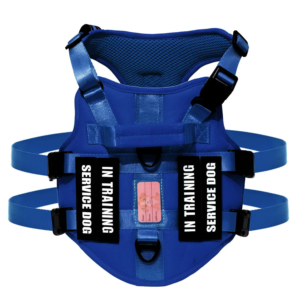 Handler Pro Harness