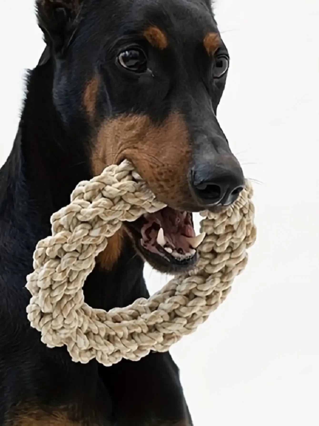 Borksy Braided Tug Ring