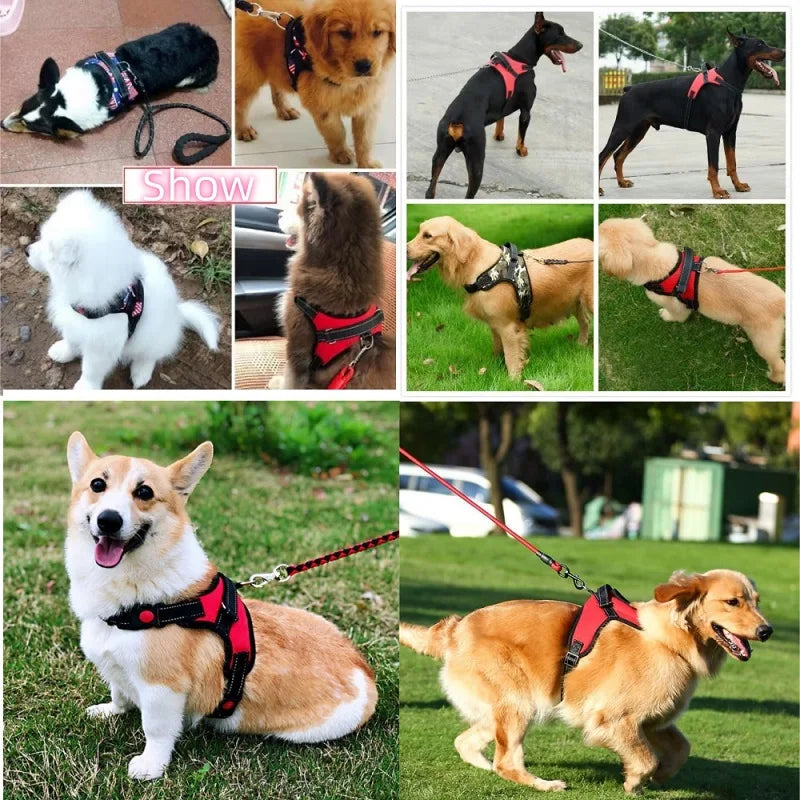 No Pull Dog Harness Comfortable Training Vest for Small Medium and Large Dogs