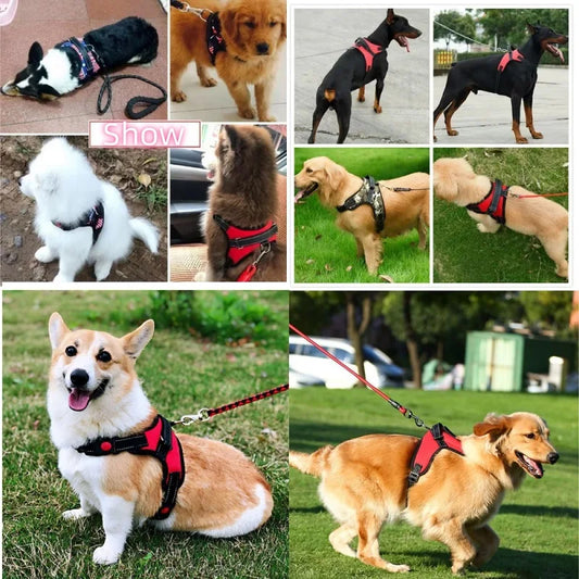 No Pull Dog Harness Comfortable Training Vest for Small Medium and Large Dogs